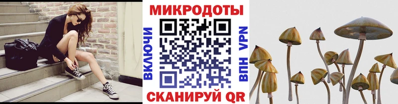 Купить  Грайворон  Галлюциногенные грибы GOLDEN TEACHER 