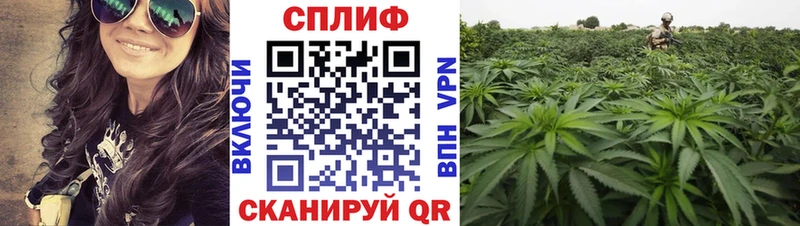 Марихуана White Widow  Купить  Грайворон 